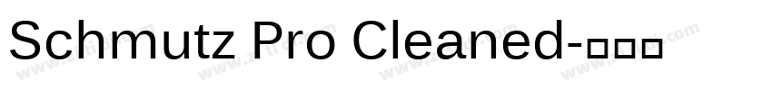 Schmutz Pro Cleaned字体转换